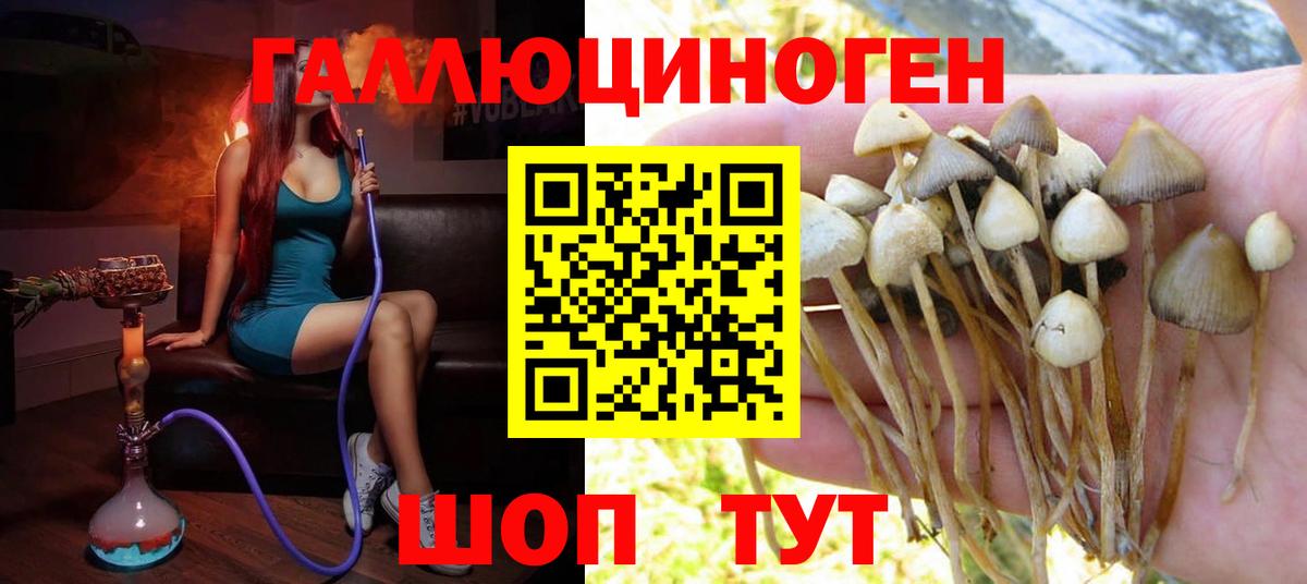 Галлюциногенные грибы мицелий Лениногорск
